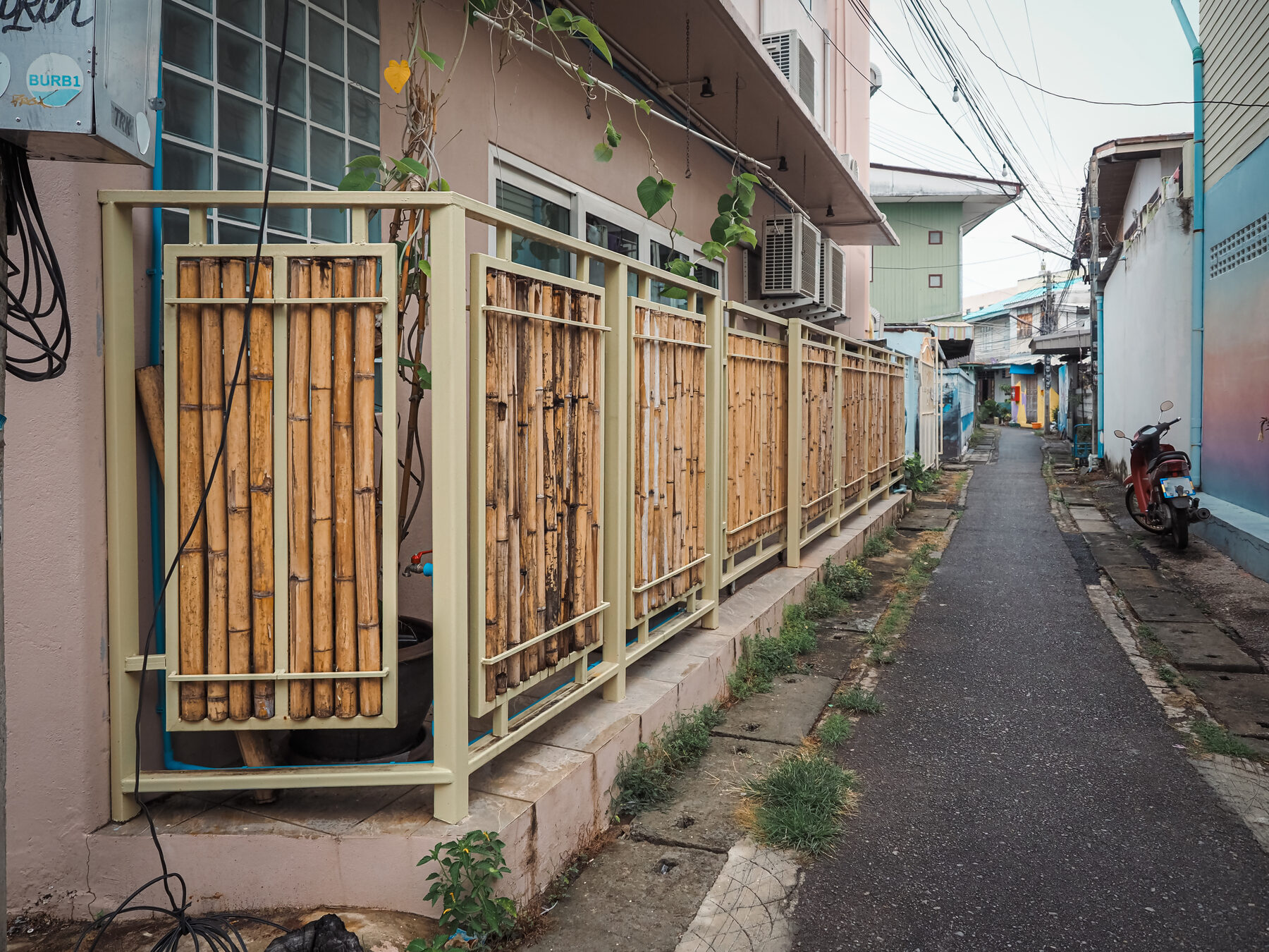 Bamboo screen lane