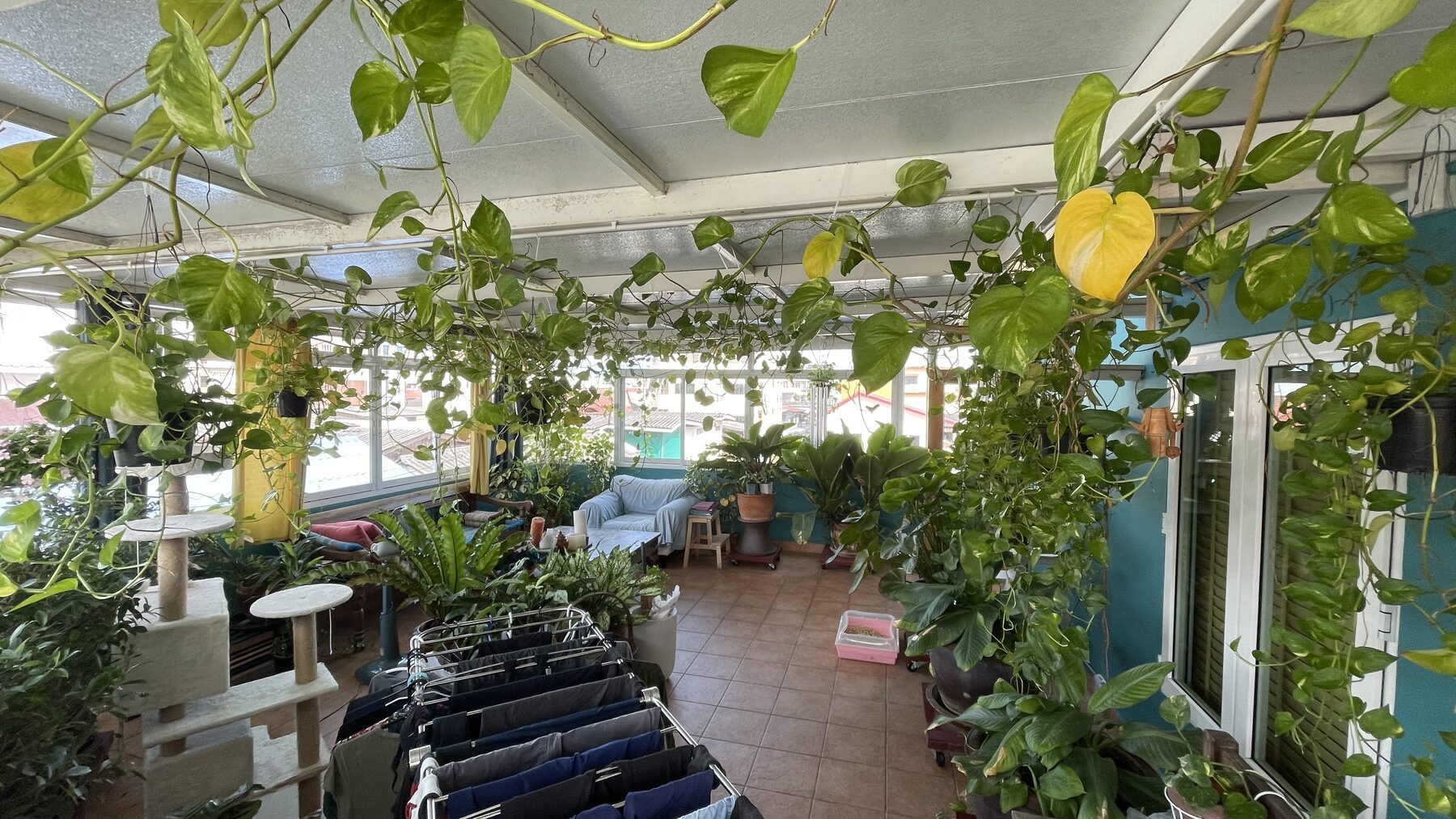 3rd-floor plant terrace